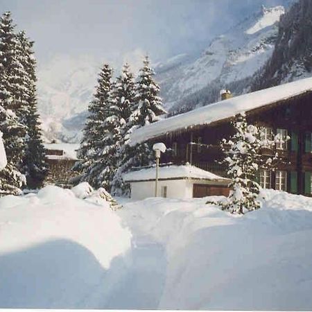 Familienferien Im Chalet Baergli 坎德施泰格 外观 照片