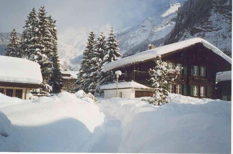 Familienferien Im Chalet Baergli 坎德施泰格 外观 照片