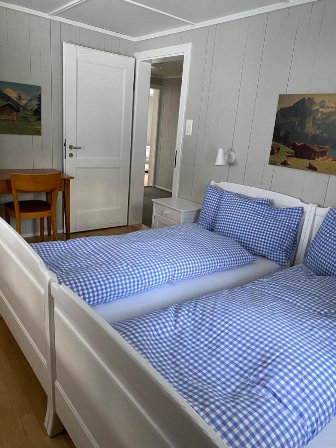 Familienferien Im Chalet Baergli 坎德施泰格 外观 照片