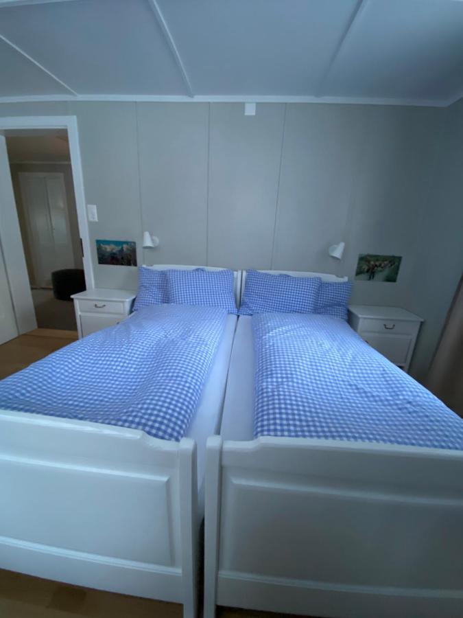 Familienferien Im Chalet Baergli 坎德施泰格 外观 照片