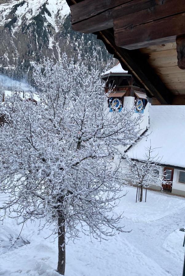 Familienferien Im Chalet Baergli 坎德施泰格 外观 照片
