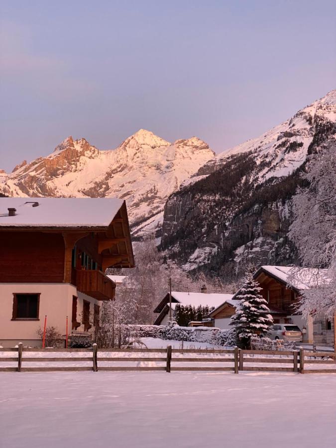 Familienferien Im Chalet Baergli 坎德施泰格 外观 照片