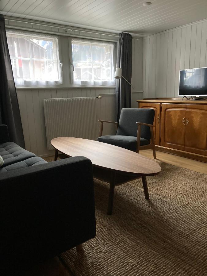 Familienferien Im Chalet Baergli 坎德施泰格 外观 照片